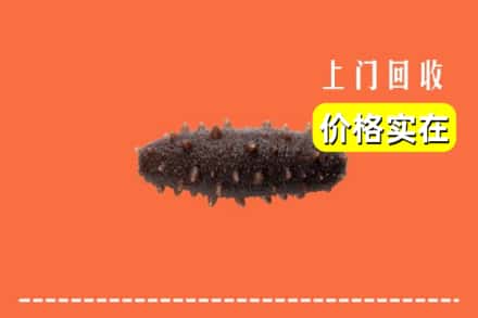 收购资讯:宣城市宣州回收海参