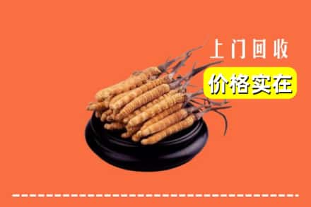 宣城市宣州回收冬虫夏草